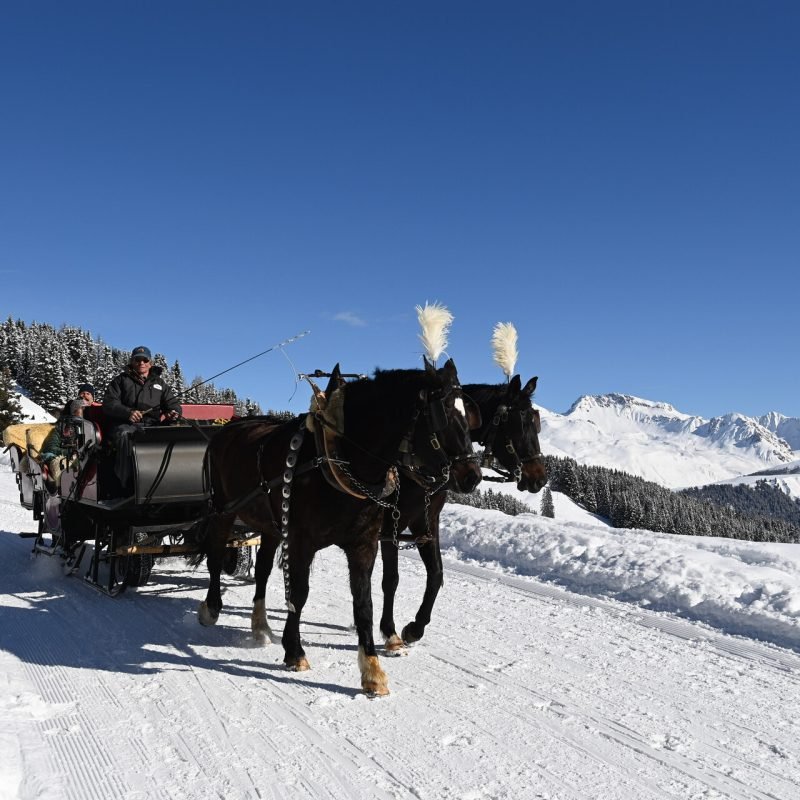 pferdekutschenfahrt-februar21-021.NEF_compressed